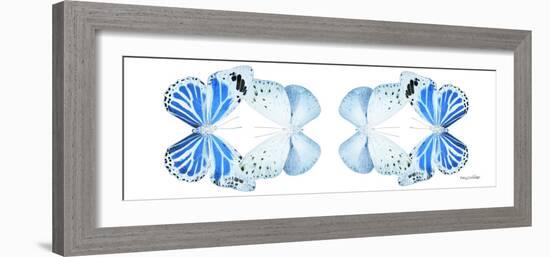 Miss Butterfly Duo Salateuploea Pan - X-Ray White Edition II-Philippe Hugonnard-Framed Photographic Print