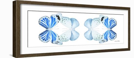 Miss Butterfly Duo Salateuploea Pan - X-Ray White Edition II-Philippe Hugonnard-Framed Photographic Print