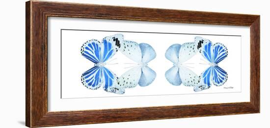 Miss Butterfly Duo Salateuploea Pan - X-Ray White Edition II-Philippe Hugonnard-Framed Photographic Print