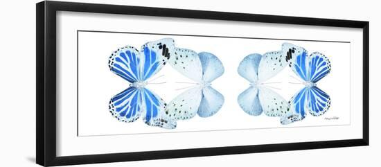 Miss Butterfly Duo Salateuploea Pan - X-Ray White Edition II-Philippe Hugonnard-Framed Photographic Print