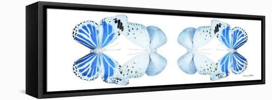 Miss Butterfly Duo Salateuploea Pan - X-Ray White Edition II-Philippe Hugonnard-Framed Stretched Canvas