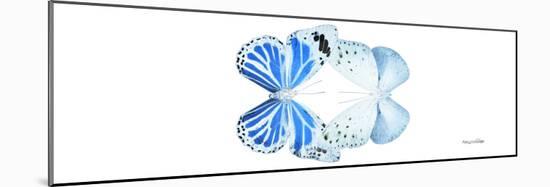 Miss Butterfly Duo Salateuploea Pan - X-Ray White Edition-Philippe Hugonnard-Mounted Photographic Print