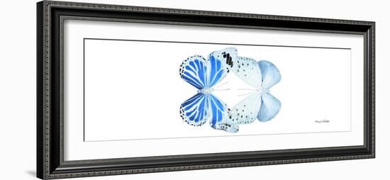 Miss Butterfly Duo Salateuploea Pan - X-Ray White Edition-Philippe Hugonnard-Framed Photographic Print