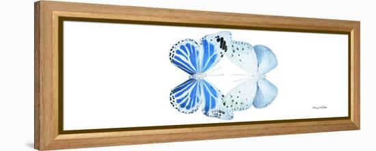 Miss Butterfly Duo Salateuploea Pan - X-Ray White Edition-Philippe Hugonnard-Framed Premier Image Canvas