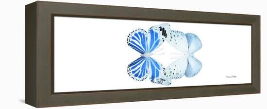 Miss Butterfly Duo Salateuploea Pan - X-Ray White Edition-Philippe Hugonnard-Framed Premier Image Canvas