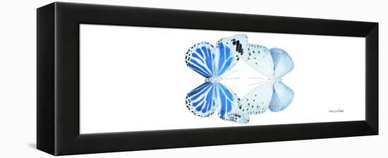 Miss Butterfly Duo Salateuploea Pan - X-Ray White Edition-Philippe Hugonnard-Framed Premier Image Canvas