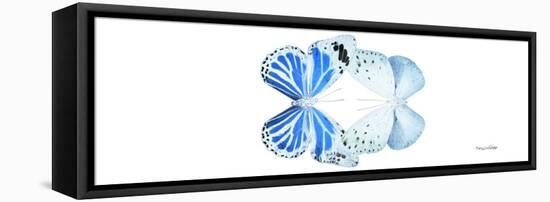 Miss Butterfly Duo Salateuploea Pan - X-Ray White Edition-Philippe Hugonnard-Framed Premier Image Canvas