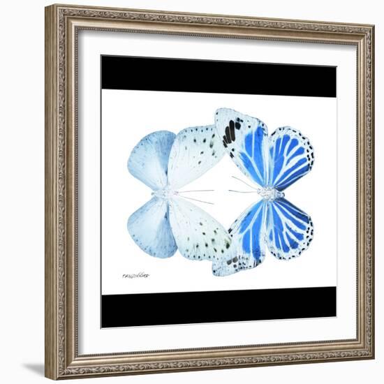 Miss Butterfly Duo Salateuploea Sq - X-Ray B&W Edition-Philippe Hugonnard-Framed Photographic Print