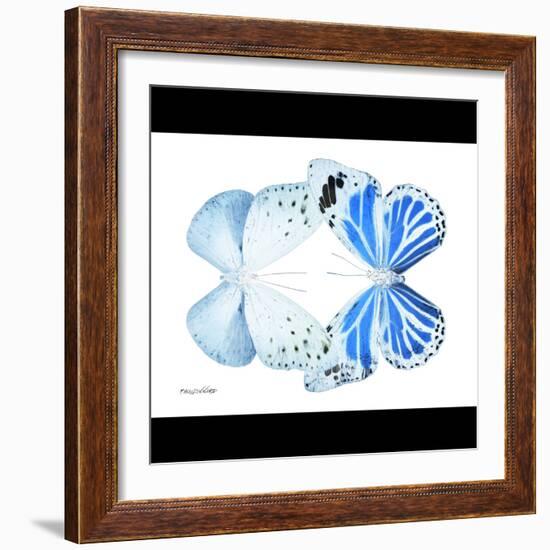 Miss Butterfly Duo Salateuploea Sq - X-Ray B&W Edition-Philippe Hugonnard-Framed Photographic Print