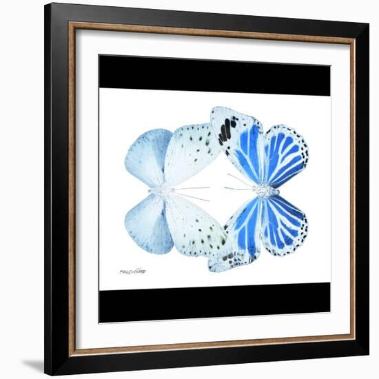 Miss Butterfly Duo Salateuploea Sq - X-Ray B&W Edition-Philippe Hugonnard-Framed Photographic Print