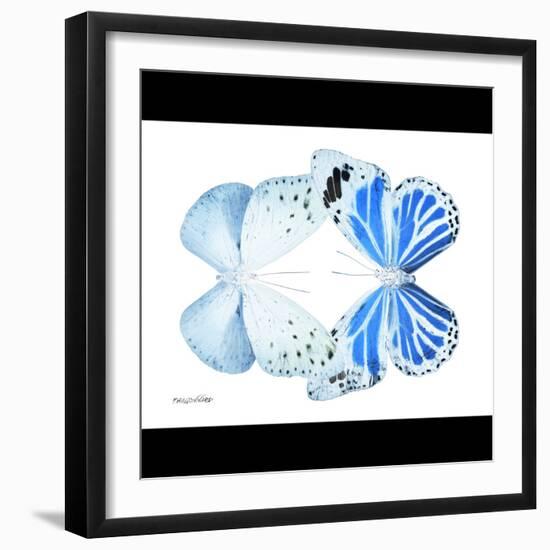 Miss Butterfly Duo Salateuploea Sq - X-Ray B&W Edition-Philippe Hugonnard-Framed Photographic Print