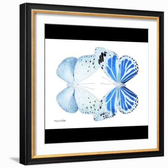 Miss Butterfly Duo Salateuploea Sq - X-Ray B&W Edition-Philippe Hugonnard-Framed Photographic Print