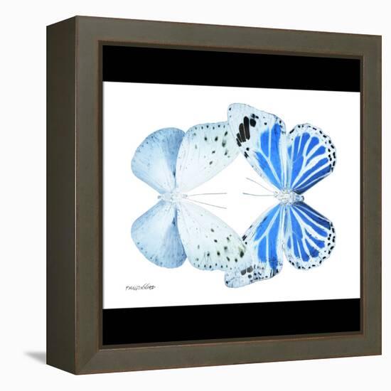 Miss Butterfly Duo Salateuploea Sq - X-Ray B&W Edition-Philippe Hugonnard-Framed Stretched Canvas