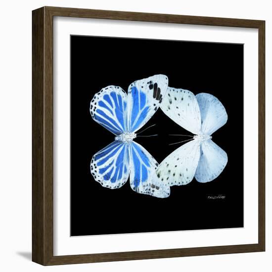 Miss Butterfly Duo Salateuploea Sq - X-Ray Black Edition-Philippe Hugonnard-Framed Photographic Print