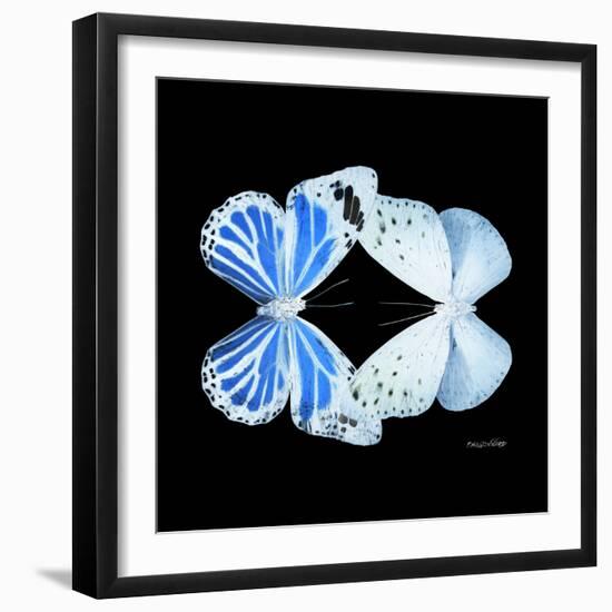 Miss Butterfly Duo Salateuploea Sq - X-Ray Black Edition-Philippe Hugonnard-Framed Photographic Print