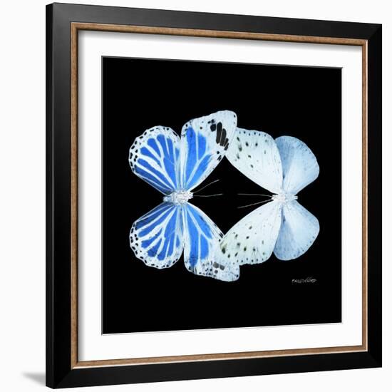 Miss Butterfly Duo Salateuploea Sq - X-Ray Black Edition-Philippe Hugonnard-Framed Photographic Print