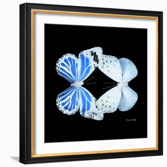 Miss Butterfly Duo Salateuploea Sq - X-Ray Black Edition-Philippe Hugonnard-Framed Photographic Print