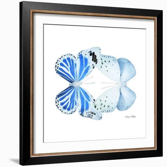 Miss Butterfly Duo Salateuploea Sq - X-Ray White Edition-Philippe Hugonnard-Framed Photographic Print