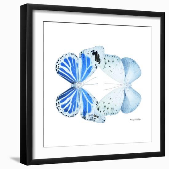 Miss Butterfly Duo Salateuploea Sq - X-Ray White Edition-Philippe Hugonnard-Framed Photographic Print