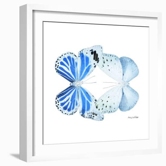 Miss Butterfly Duo Salateuploea Sq - X-Ray White Edition-Philippe Hugonnard-Framed Photographic Print