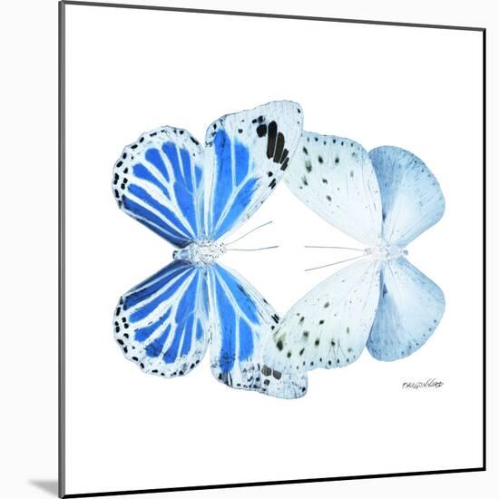 Miss Butterfly Duo Salateuploea Sq - X-Ray White Edition-Philippe Hugonnard-Mounted Photographic Print