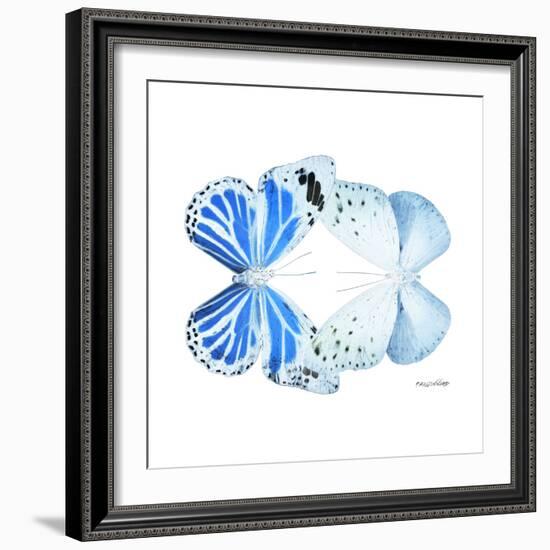 Miss Butterfly Duo Salateuploea Sq - X-Ray White Edition-Philippe Hugonnard-Framed Photographic Print