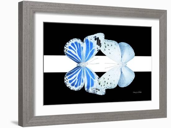 Miss Butterfly Duo Salateuploea - X-Ray B&W Edition II-Philippe Hugonnard-Framed Photographic Print