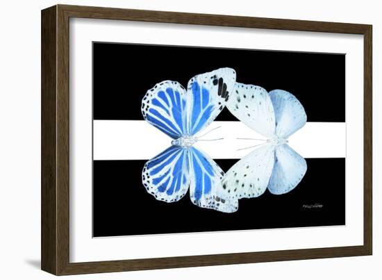 Miss Butterfly Duo Salateuploea - X-Ray B&W Edition II-Philippe Hugonnard-Framed Photographic Print