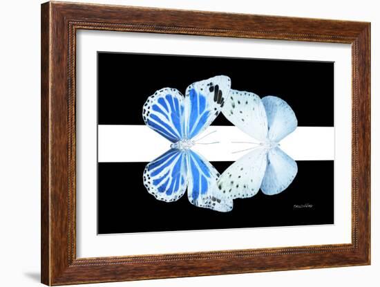 Miss Butterfly Duo Salateuploea - X-Ray B&W Edition II-Philippe Hugonnard-Framed Photographic Print