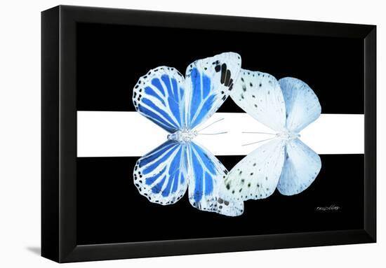 Miss Butterfly Duo Salateuploea - X-Ray B&W Edition II-Philippe Hugonnard-Framed Premier Image Canvas