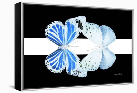 Miss Butterfly Duo Salateuploea - X-Ray B&W Edition II-Philippe Hugonnard-Framed Premier Image Canvas