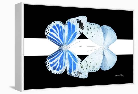Miss Butterfly Duo Salateuploea - X-Ray B&W Edition II-Philippe Hugonnard-Framed Premier Image Canvas