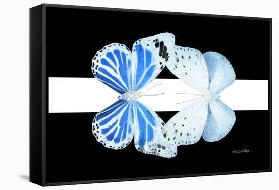 Miss Butterfly Duo Salateuploea - X-Ray B&W Edition II-Philippe Hugonnard-Framed Stretched Canvas