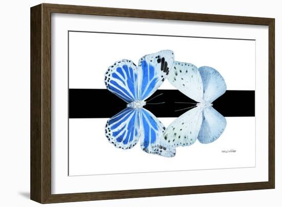 Miss Butterfly Duo Salateuploea - X-Ray B&W Edition-Philippe Hugonnard-Framed Photographic Print