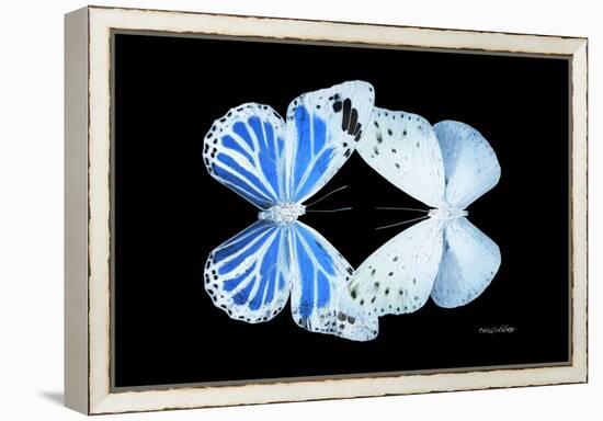 Miss Butterfly Duo Salateuploea - X-Ray Black Edition-Philippe Hugonnard-Framed Premier Image Canvas