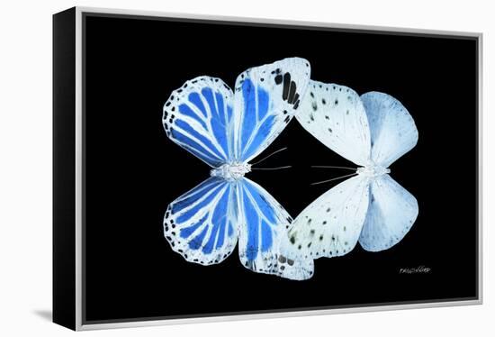 Miss Butterfly Duo Salateuploea - X-Ray Black Edition-Philippe Hugonnard-Framed Premier Image Canvas