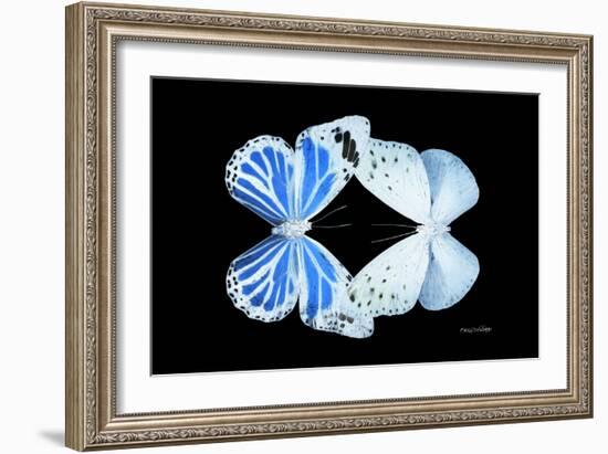 Miss Butterfly Duo Salateuploea - X-Ray Black Edition-Philippe Hugonnard-Framed Photographic Print