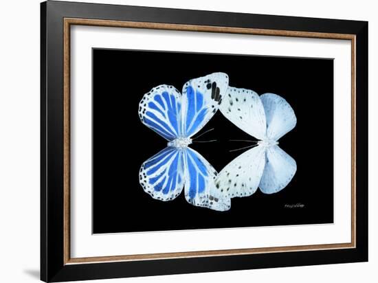 Miss Butterfly Duo Salateuploea - X-Ray Black Edition-Philippe Hugonnard-Framed Photographic Print