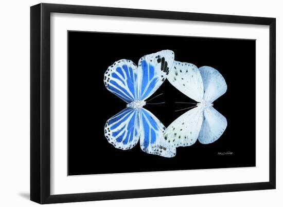 Miss Butterfly Duo Salateuploea - X-Ray Black Edition-Philippe Hugonnard-Framed Photographic Print