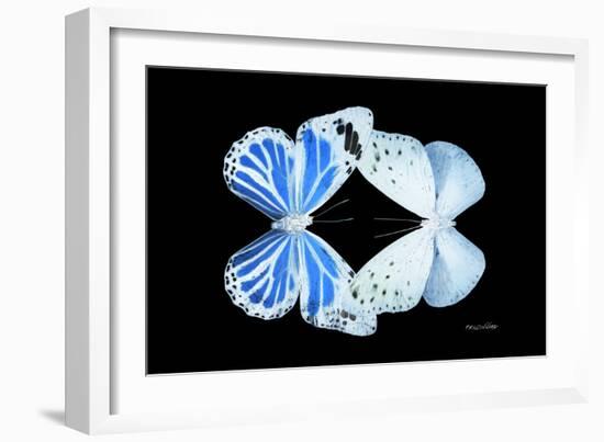 Miss Butterfly Duo Salateuploea - X-Ray Black Edition-Philippe Hugonnard-Framed Photographic Print