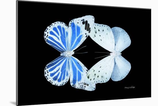 Miss Butterfly Duo Salateuploea - X-Ray Black Edition-Philippe Hugonnard-Mounted Photographic Print