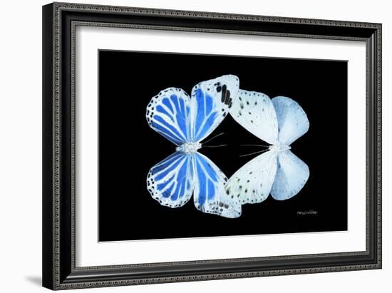 Miss Butterfly Duo Salateuploea - X-Ray Black Edition-Philippe Hugonnard-Framed Photographic Print