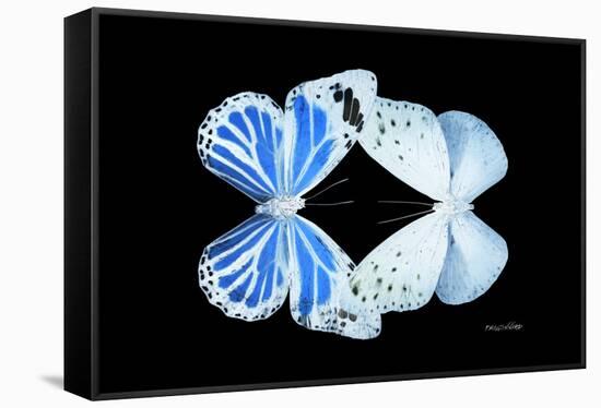Miss Butterfly Duo Salateuploea - X-Ray Black Edition-Philippe Hugonnard-Framed Stretched Canvas