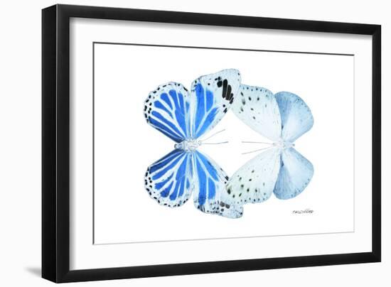 Miss Butterfly Duo Salateuploea - X-Ray White Edition-Philippe Hugonnard-Framed Photographic Print