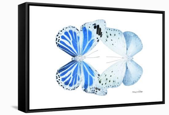 Miss Butterfly Duo Salateuploea - X-Ray White Edition-Philippe Hugonnard-Framed Stretched Canvas