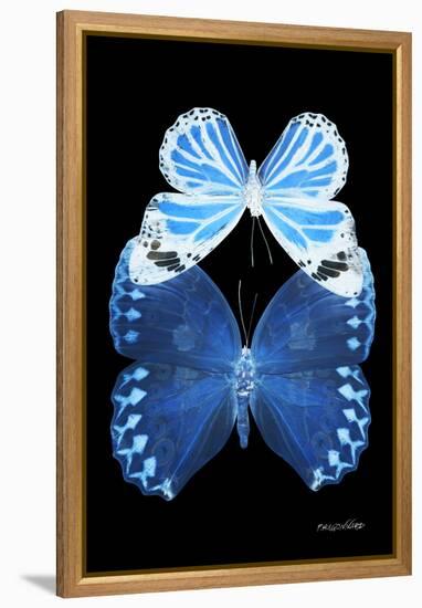 Miss Butterfly Duo Stichatura II - X-Ray Black Edition-Philippe Hugonnard-Framed Premier Image Canvas