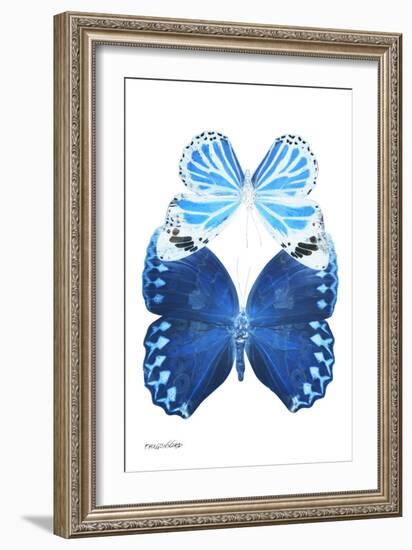 Miss Butterfly Duo Stichatura II - X-Ray White Edition-Philippe Hugonnard-Framed Photographic Print