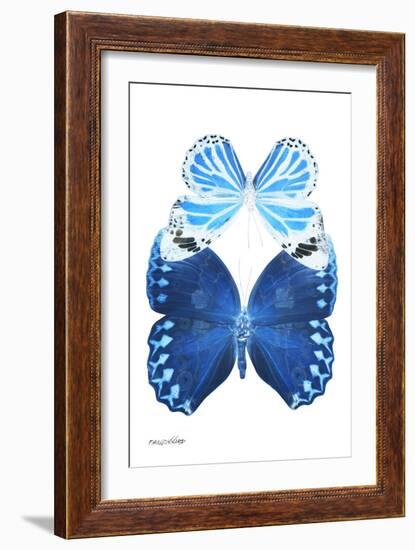 Miss Butterfly Duo Stichatura II - X-Ray White Edition-Philippe Hugonnard-Framed Photographic Print