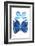 Miss Butterfly Duo Stichatura II - X-Ray White Edition-Philippe Hugonnard-Framed Photographic Print