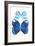 Miss Butterfly Duo Stichatura II - X-Ray White Edition-Philippe Hugonnard-Framed Photographic Print